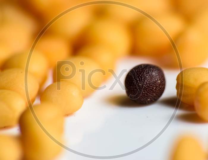 Close Up Shot Of Black And Yellow Mustard Seeds. Selective Focusing On An Isolated Black Seed
