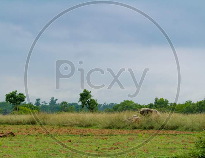 Grass Field And Clouds In Countryside