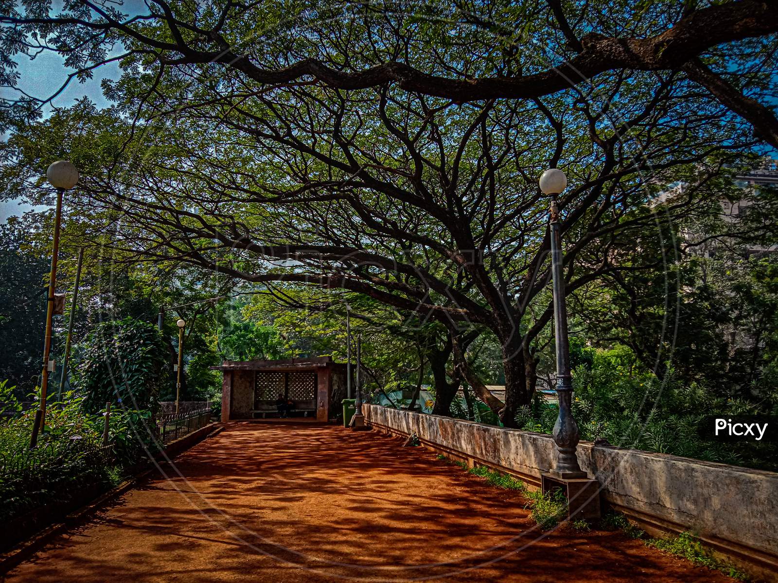 An aesthetic view of Botanical gardens in Mumbai .
