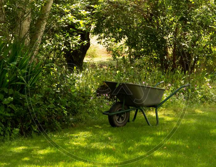 Wheelbarrow full of  weeds  in garden. No people. Concept of garden recreation and helping environment