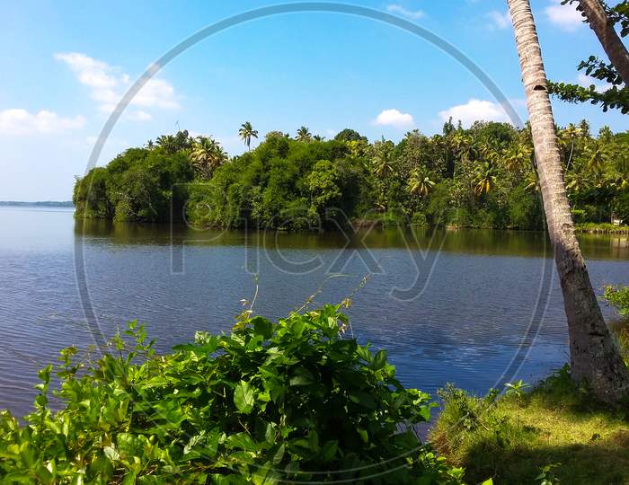 Natural Beautiful Lake And Mangroves
