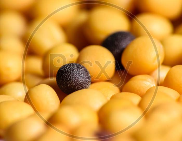 Close Up Shot Of Black And Yellow Mustard Seeds. Selective Focusing