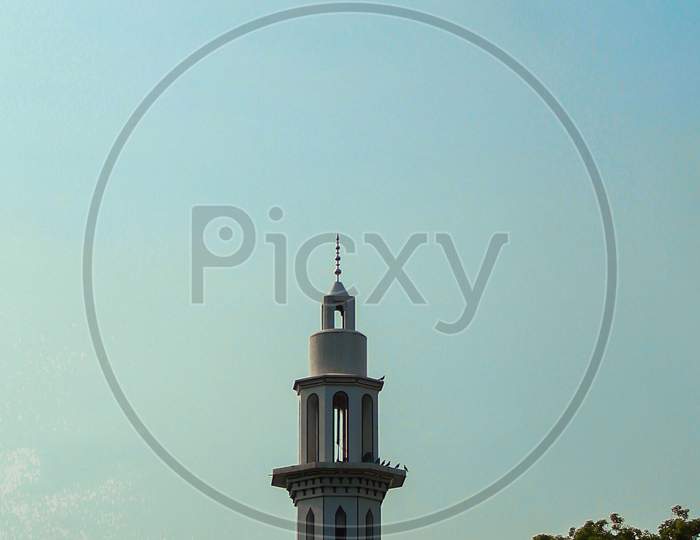 A Mosque Pillar / Minar Between Two Trees
