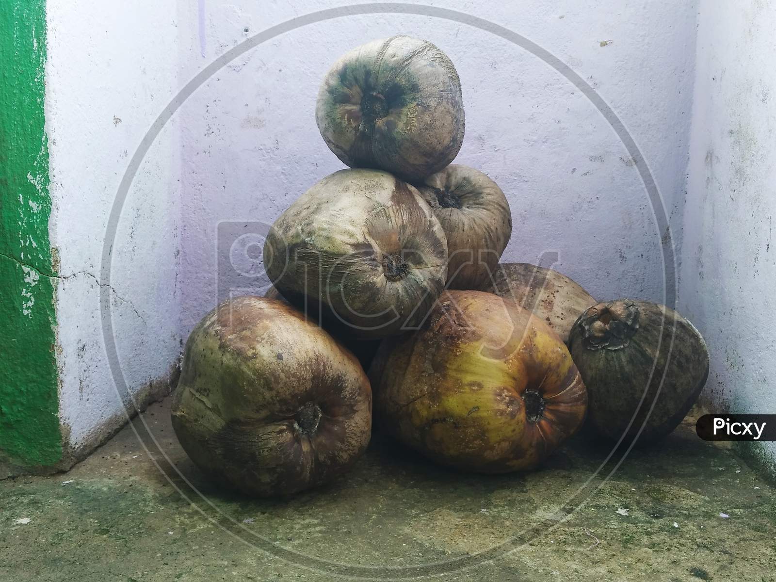 Coconut is the indian origin food