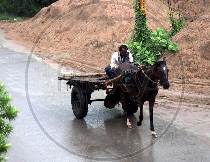 A man rides a horse cart during rains in Prayagraj, June 26, 2020.