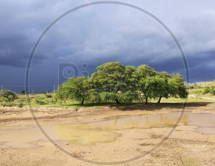 Beutyfull nature,trees and sky view, at mandavdhar,gujrat,india.24-06-2020