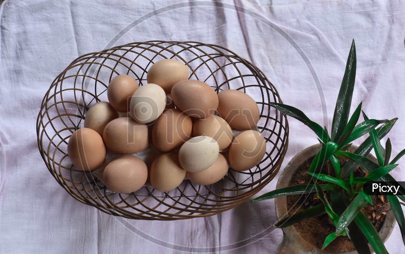 chicken eggs in basket