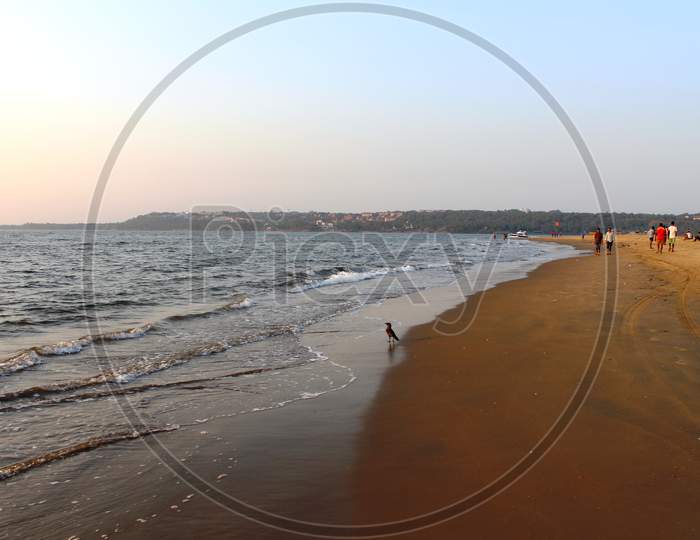 tourists enjoying their evening at Miramar beach Goa