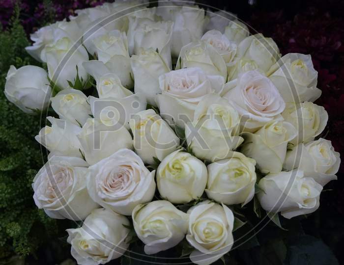 White Roses Background. Variety Of White Roses In Beautiful Bouquet. Bridal Bouquet Of White Rose In Bright Colors In Flower Shop In Market.