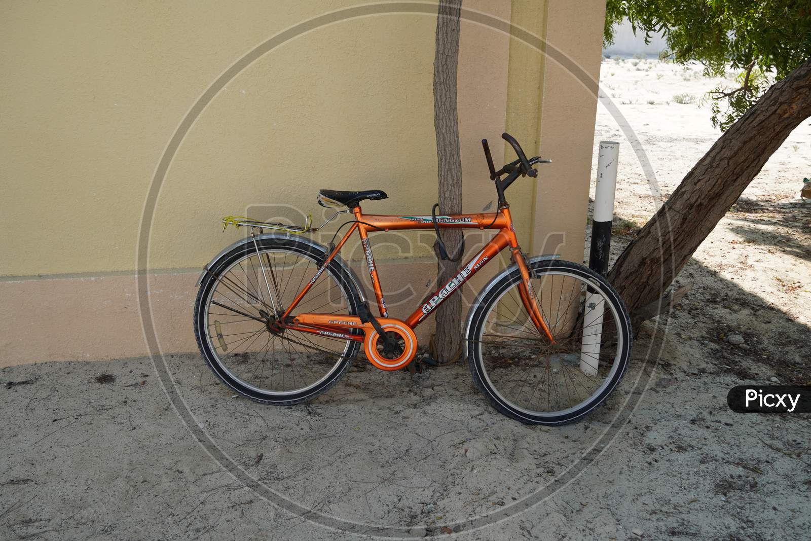 An Old Orange Bicycle Is Standing On The Sand Path Locked To A Tree. Old Apache Orange Cycle Chained To A Tree. Man'S Cycle With Lock In Tree In A Sandy Place. - Dubai Uae December 2019