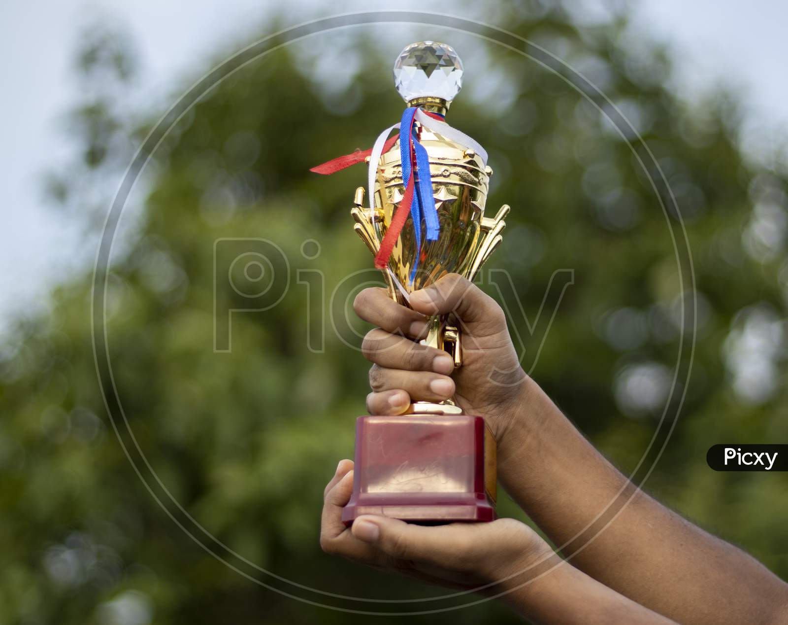 Winner Trophy In Hand