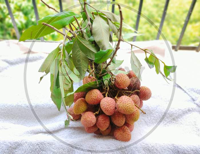 lychee plucked and kept on white towel