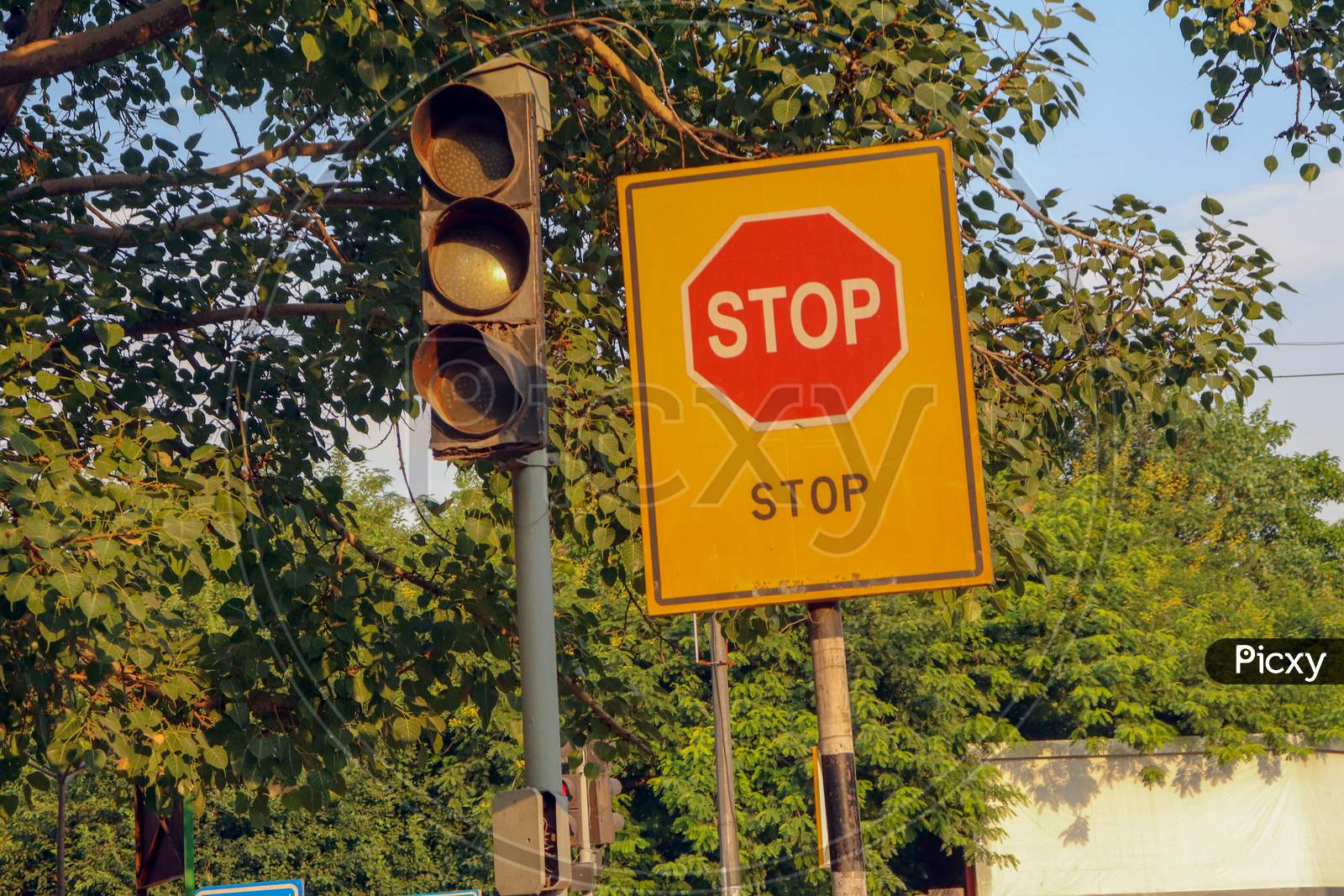 "New Delhi /India -21.06.2020:Stop Sign  Boards Near  Traffic Lights  and Tree"