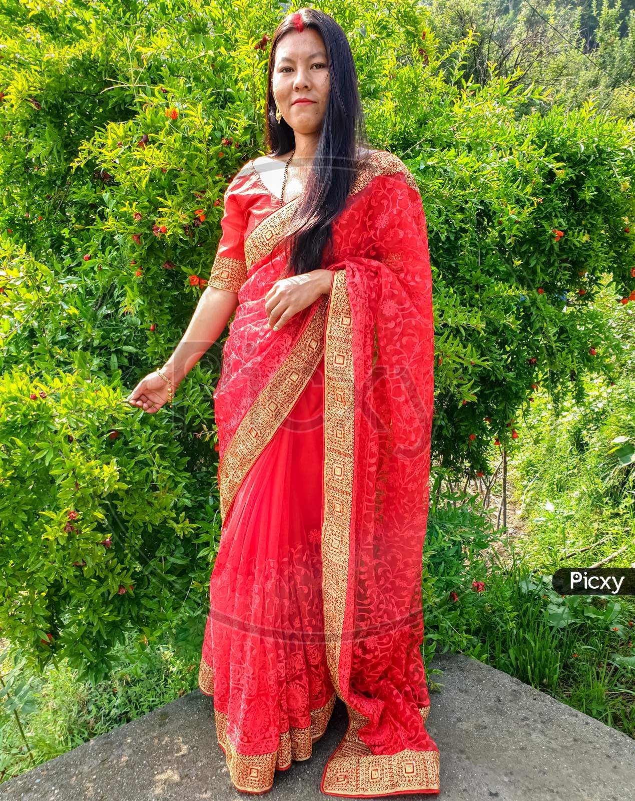 Portrait of beautiful Indian wife wearing Indian traditional dress (Saree) during coronavirus time