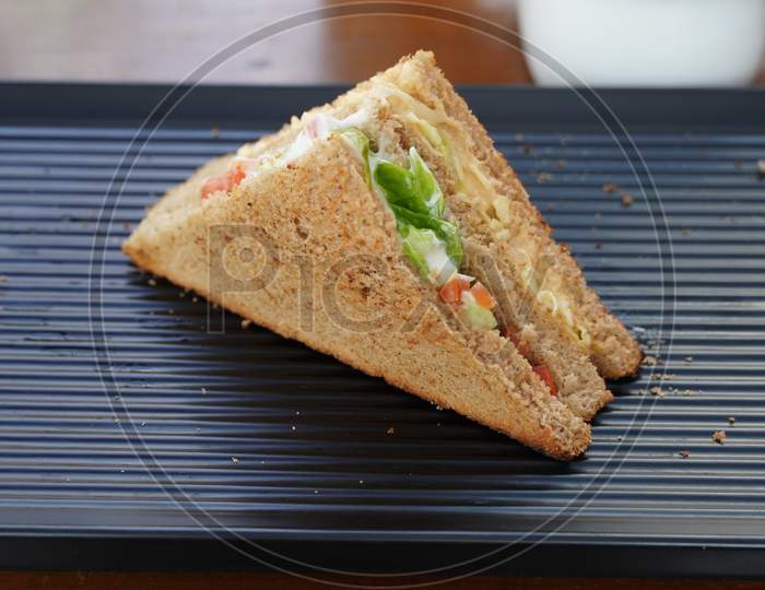 A Single Tuna Sandwich On Black Serving Plate. One Club Sandwich With Chicken, Ham, Cheese, Tomatoes, Cucumber, Bacon, Lettuce, Herbs And Toasted Bread. Front View With Blurred Background.
