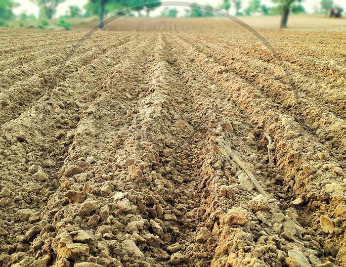 Cultivated Or Plowed Agriculture Land Of A Field In Dry Areas Of India