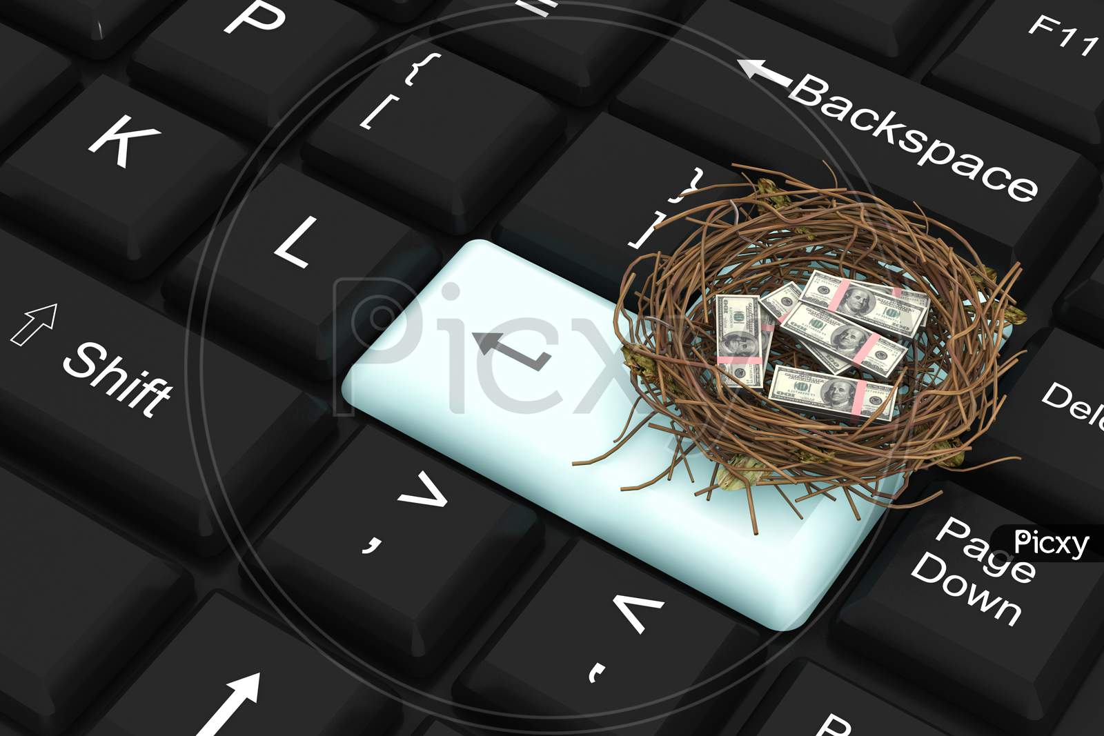 Dollar Protected In Nest With Enter Key