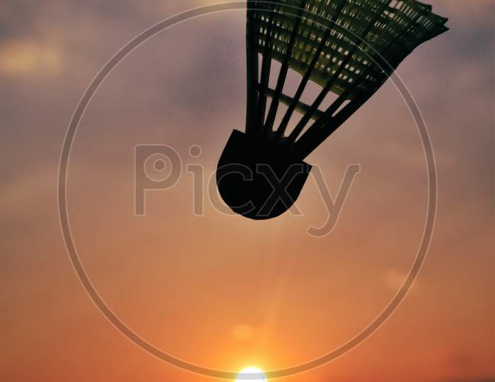 A Beautiful View Of Cock Being In Air With Sun Behind During Sunset Hours
