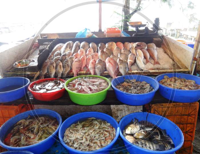 view of a fresh fish stall in Fort Kochi, Kerala