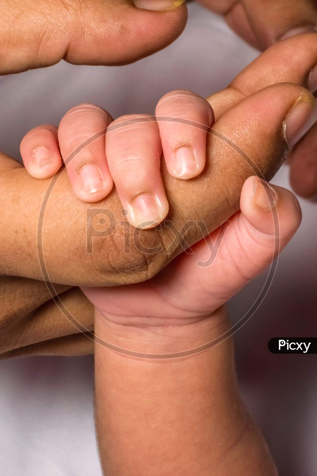 A Newborn Baby Holding Her Mother'S Index Finger Firmly. White Background Portrait Shot