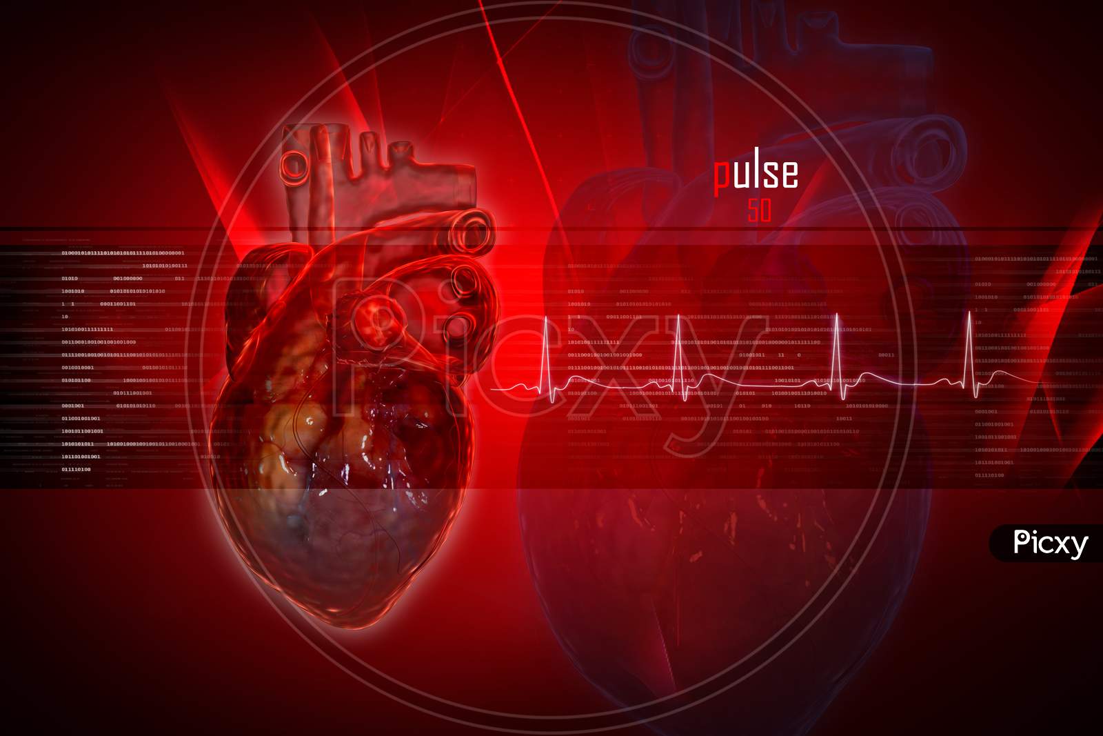 Human Heart In Digital Design