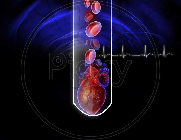 Human Heart And  Blood Cell In Test-Tube