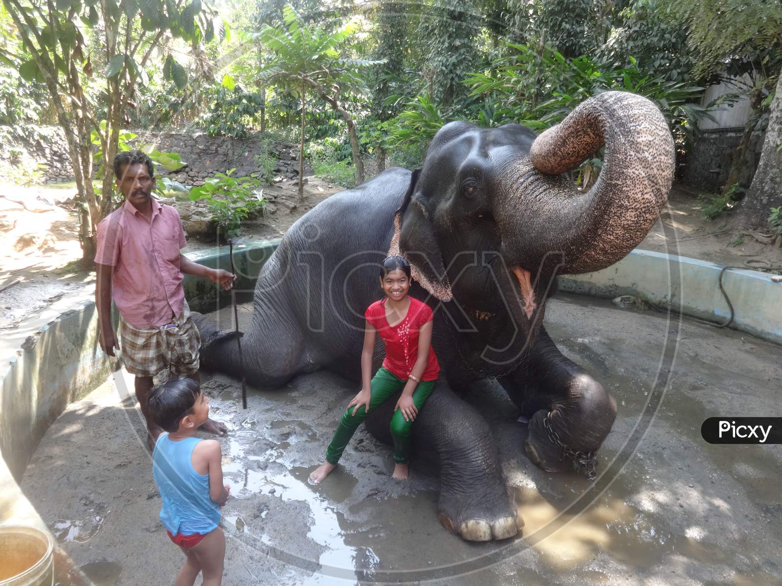 kids bathing and posing with an elephant