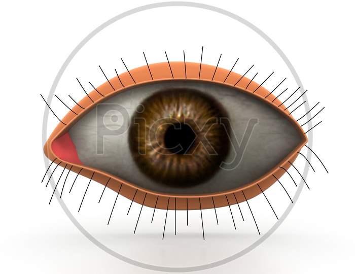 3D Eye