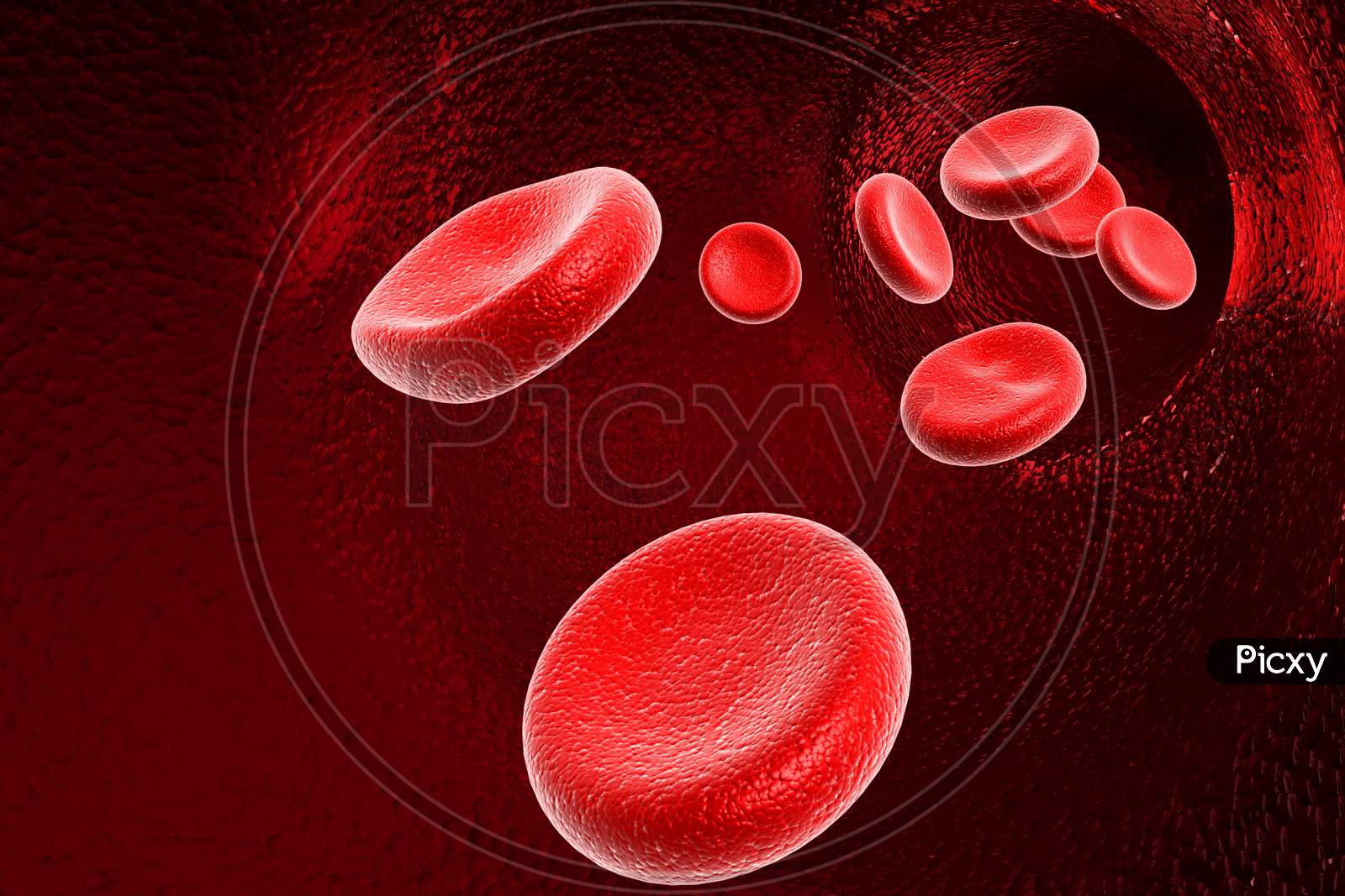 Blood Cell