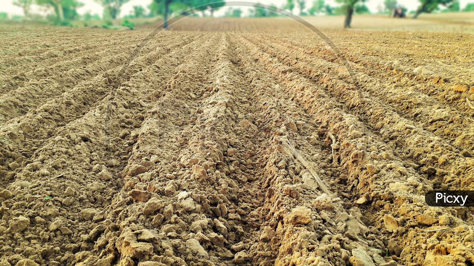 Cultivated Or Plowed Agriculture Land Of A Field In Dry Areas Of India