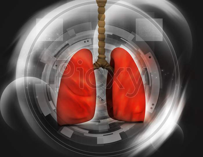 Human Lungs In Abstract Digital Design