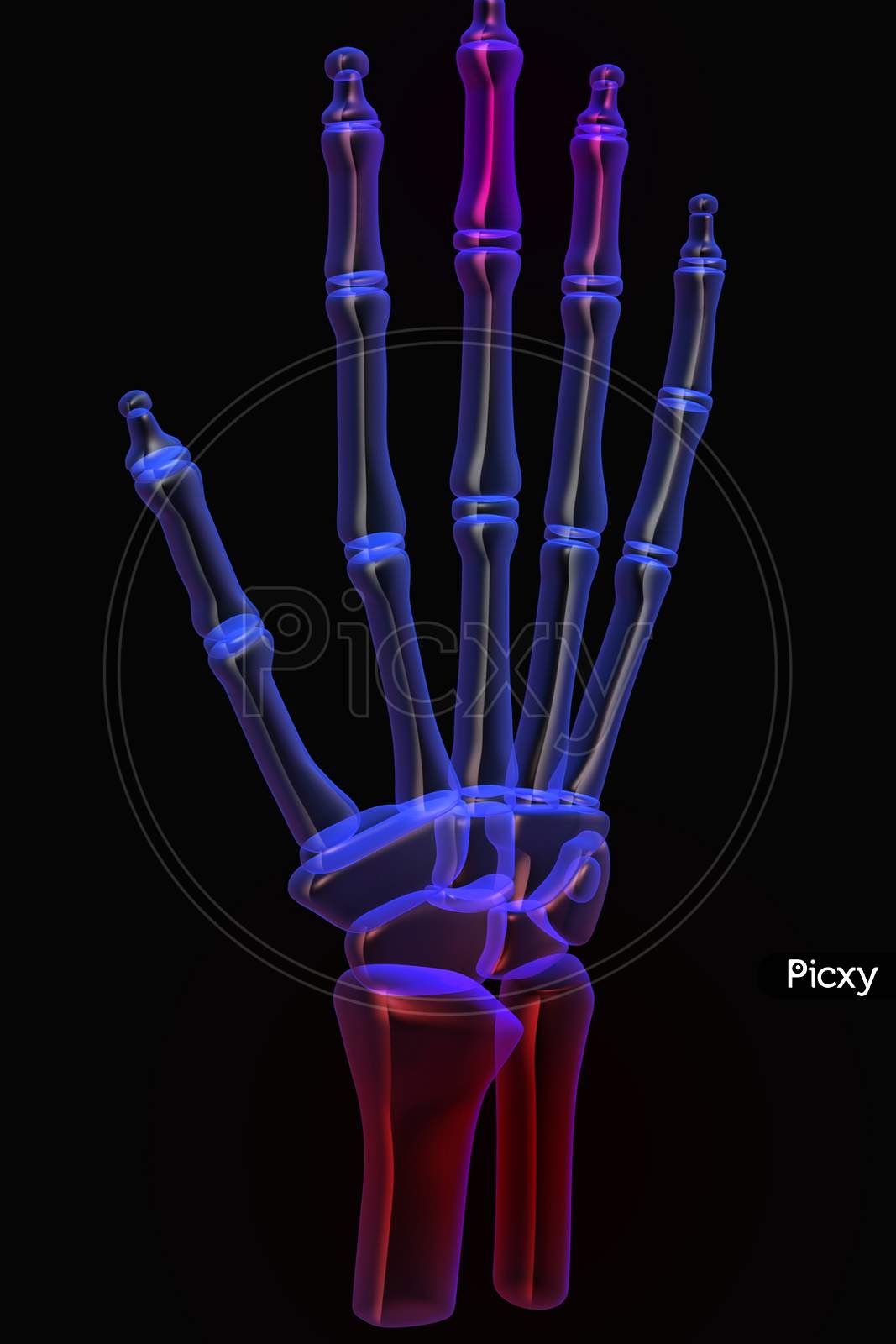 3D Human Hand Pain
