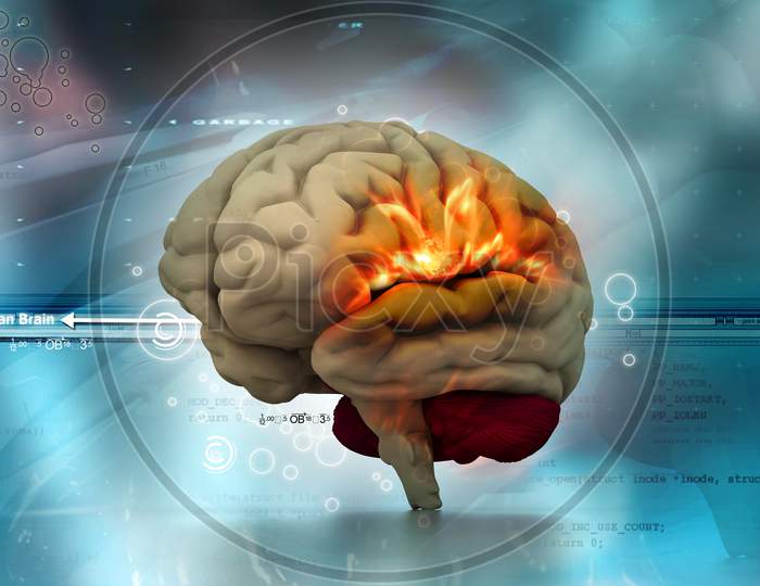 Human Brain In Abstract Medical Background