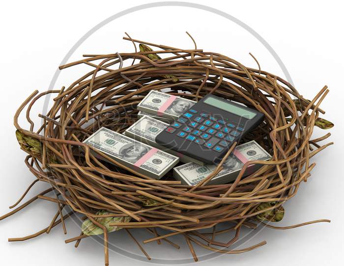 Dollar And Calculator Protected In Nest