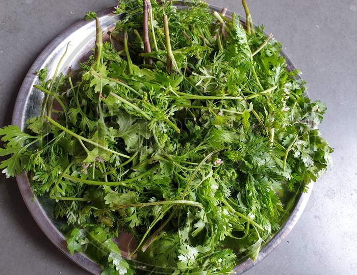 This is green coriander