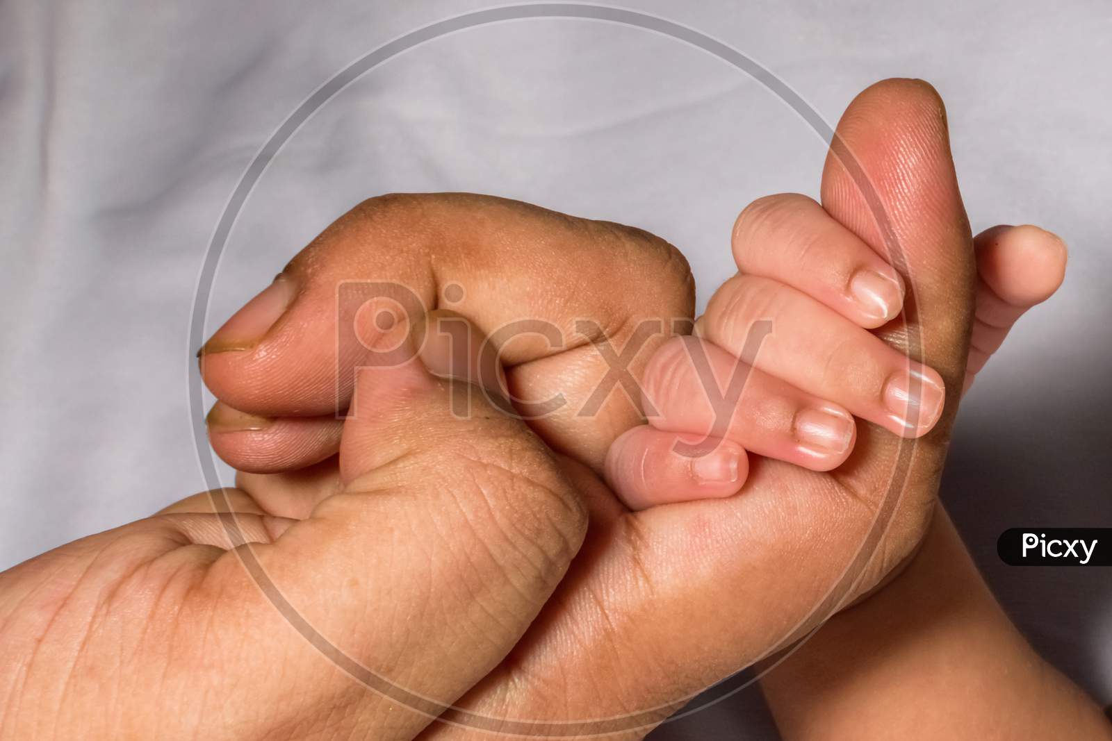 A Newborn Baby Holding Her Mother'S Index Finger. White Background