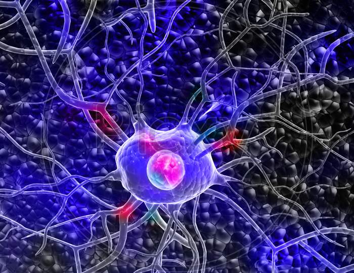 3D Nerve Cells