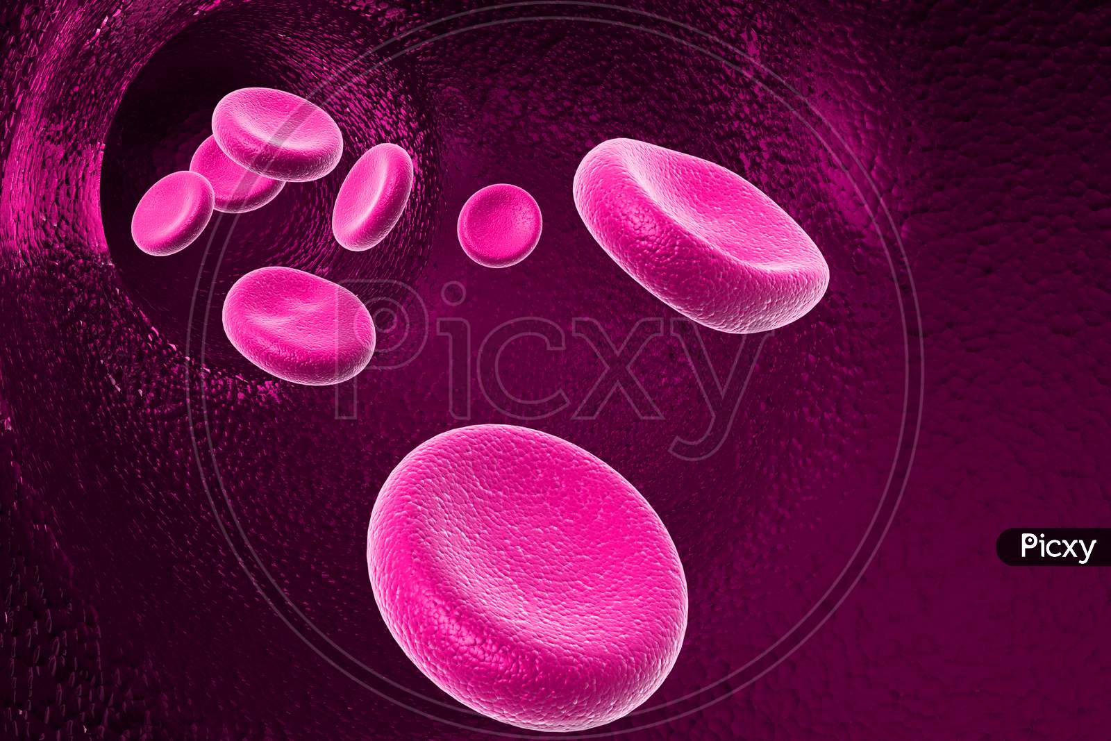 Blood Cell