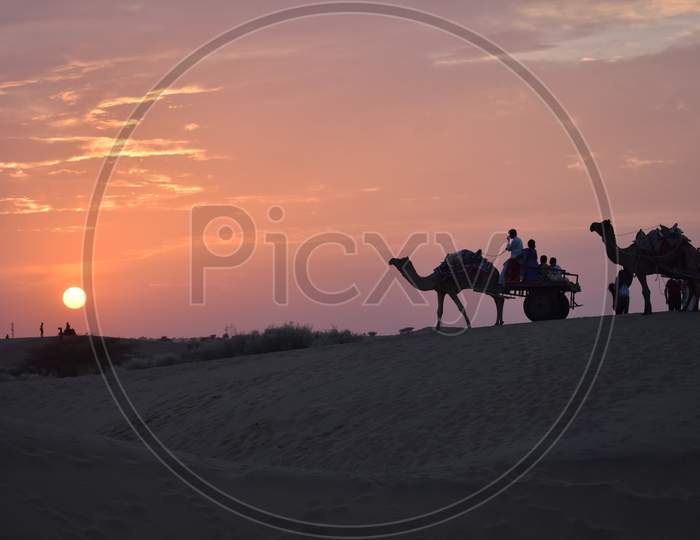 Desert Safari At Jaisalmer Sam Dunes In A Sunset Time