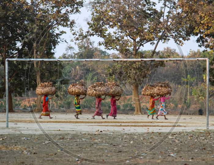 Rural Women Carrying Dry Leaves On Their Heads For Cooking Food Passing Empty Football Goal Post