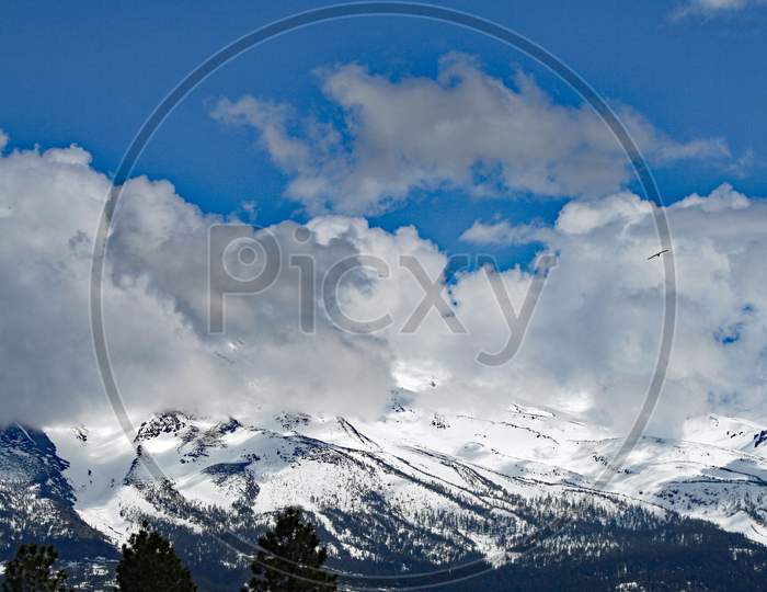 Mt. Shasta (Ca 00329)