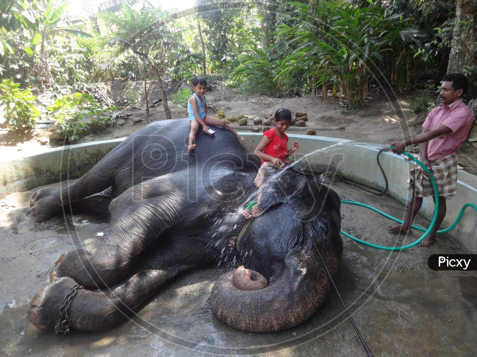 kids enjoying bath with the elephant