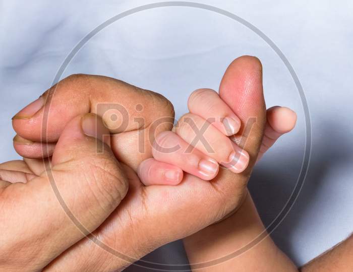 A Newborn Baby Holding Her Mother'S Index Finger. White Background