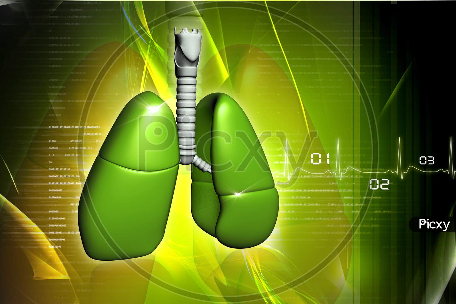 Human Lungs In Digital Design