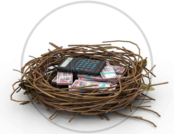 Money And Calculator Protected In Nest