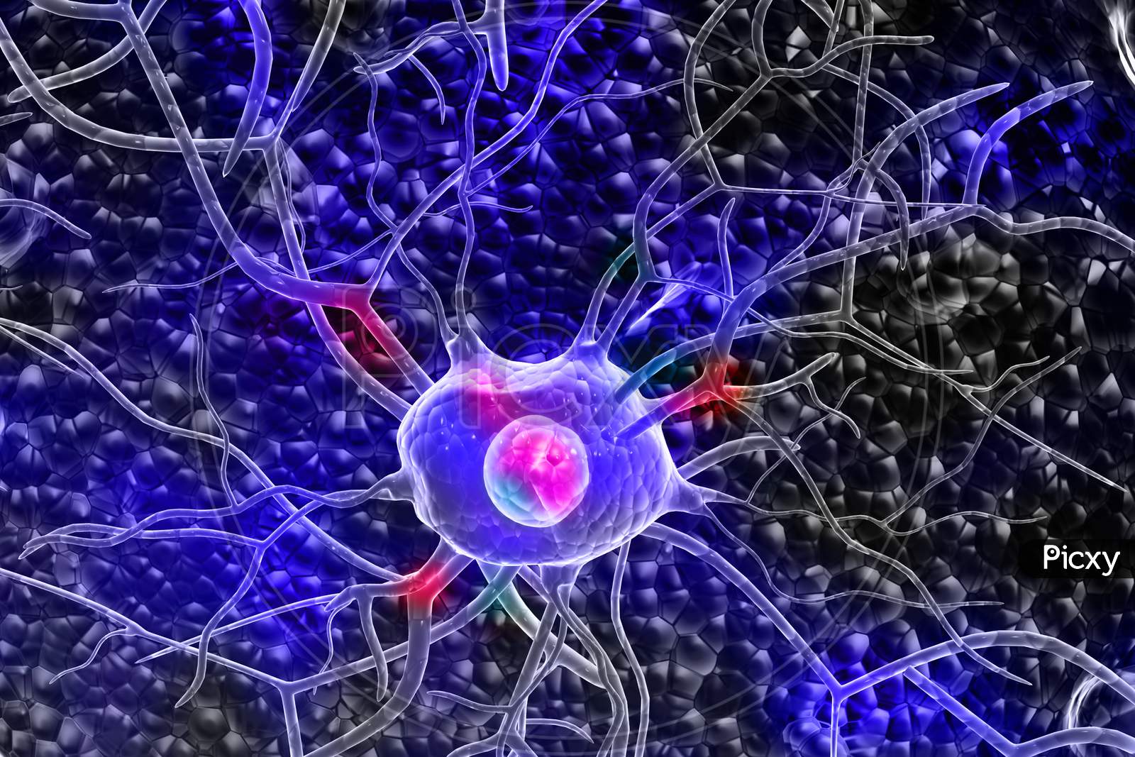 3D Nerve Cells