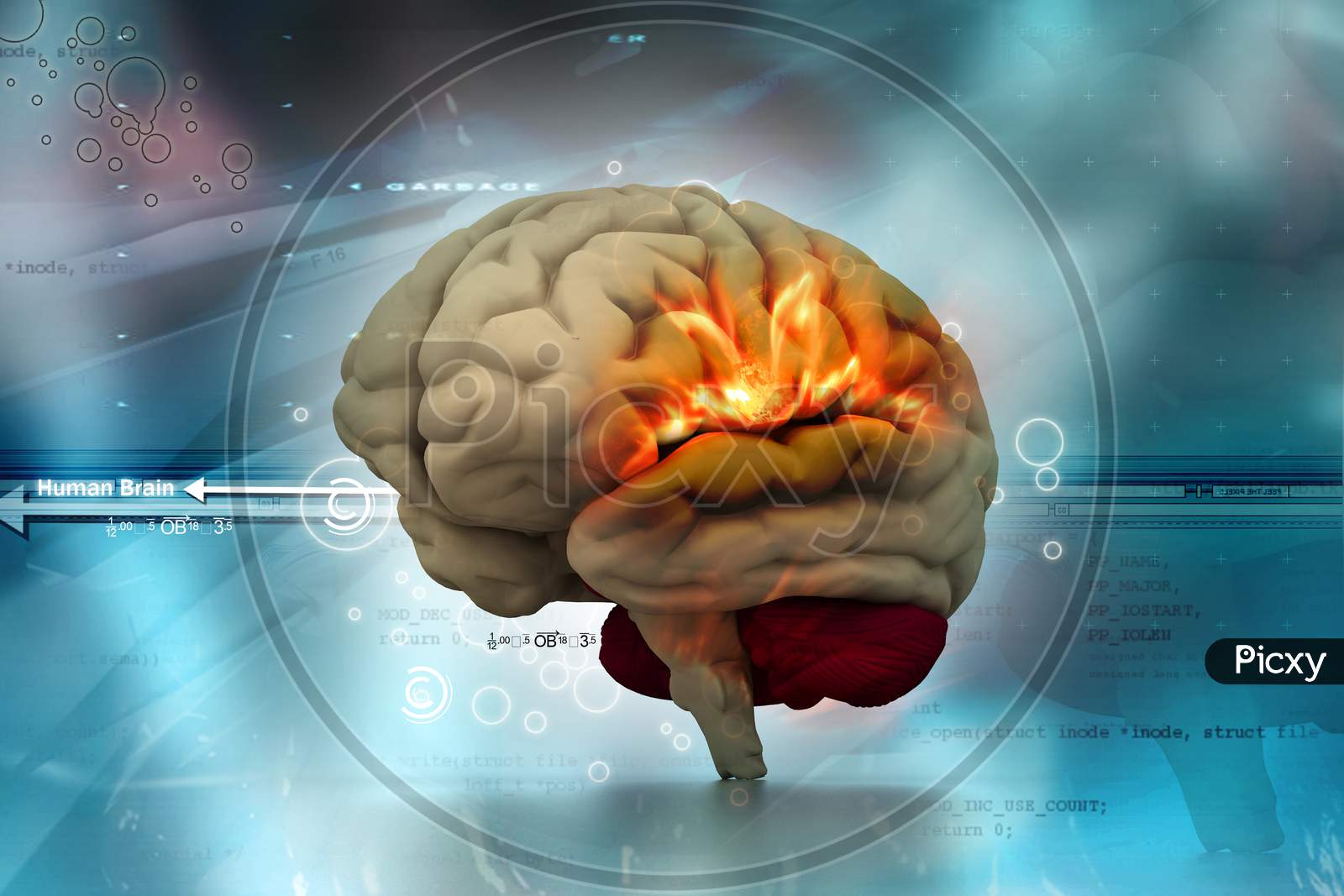 Human Brain In Abstract Medical Background