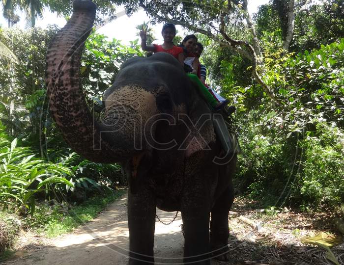 enjoying an elephant ride at Thekkady, Kerala