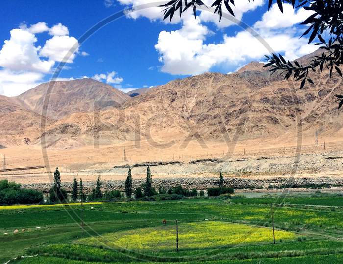 Scenery of ladakh, leh.
