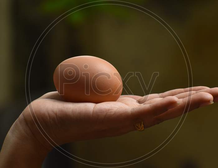female hand holding egg